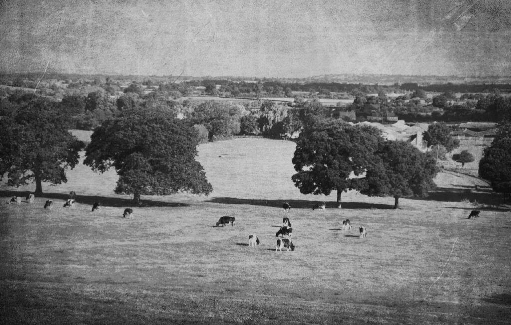 Black and white photo showing the old farm at North Leaze.